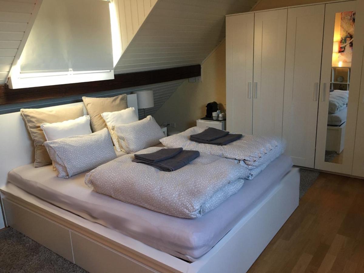 شقة Cozy Attica - With Every Comfort - Berne Liebefeld المظهر الخارجي الصورة